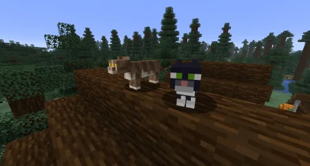 Мод на Кошек